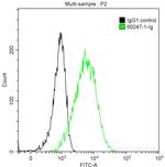 Cytokeratin 15 Antibody in Flow Cytometry (Flow)