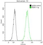 BAX Antibody in Flow Cytometry (Flow)