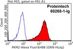 PKM2 Antibody in Flow Cytometry (Flow)