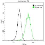 PLAP Antibody in Flow Cytometry (Flow)