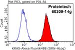 pan Ras Antibody in Flow Cytometry (Flow)