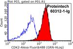 CDK2 Antibody in Flow Cytometry (Flow)