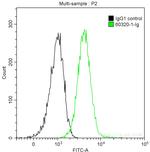 Cytokeratin 14 Antibody in Flow Cytometry (Flow)