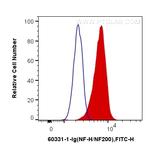 NF-H Antibody in Flow Cytometry (Flow)