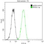 E-cadherin Antibody in Flow Cytometry (Flow)