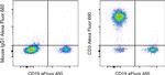 CD3 Antibody in Flow Cytometry (Flow)