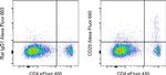 CD25 Antibody in Flow Cytometry (Flow)