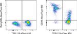 CD45 Antibody in Flow Cytometry (Flow)