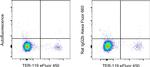 Rat IgG2b kappa Isotype Control in Flow Cytometry (Flow)