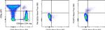 FOXP3 Antibody in Flow Cytometry (Flow)