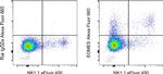 EOMES Antibody in Flow Cytometry (Flow)