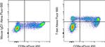 T-bet Antibody in Flow Cytometry (Flow)