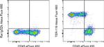 TER-119 Antibody in Flow Cytometry (Flow)