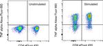 TNF alpha Antibody in Flow Cytometry (Flow)