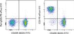 CD3 Antibody in Flow Cytometry (Flow)