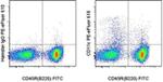 CD11c Antibody in Flow Cytometry (Flow)