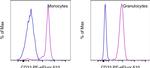 CD33 Antibody in Flow Cytometry (Flow)