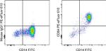 CD64 Antibody in Flow Cytometry (Flow)