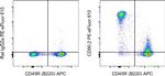 CD90.2 (Thy-1.2) Antibody in Flow Cytometry (Flow)