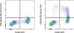 CD206 (MMR) Antibody in Flow Cytometry (Flow)