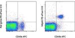 CD335 (NKp46) Antibody in Flow Cytometry (Flow)