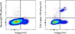 TCR V delta 1 Antibody in Flow Cytometry (Flow)