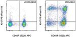 Ki-67 Antibody in Flow Cytometry (Flow)