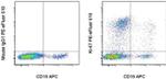 Ki-67 Antibody in Flow Cytometry (Flow)