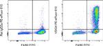 VSIG4 Antibody in Flow Cytometry (Flow)