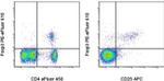 FOXP3 Antibody in Flow Cytometry (Flow)