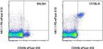 NK1.1 Antibody in Flow Cytometry (Flow)