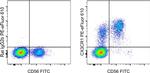 CX3CR1 Antibody in Flow Cytometry (Flow)