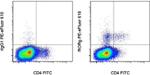 ROR gamma (t) Antibody in Flow Cytometry (Flow)