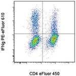 IFN gamma Antibody in Flow Cytometry (Flow)