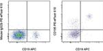 CD185 (CXCR5) Antibody in Flow Cytometry (Flow)