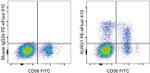 KLRG1 Antibody in Flow Cytometry (Flow)