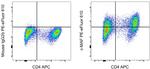 c-MAF Antibody in Flow Cytometry (Flow)