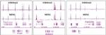 Menin Antibody in ChIP-Sequencing (ChIP-Seq)