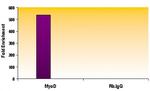 Histone H3K27me1 Antibody in ChIP Assay (ChIP)