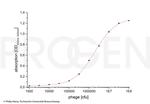 M13/fd/F1 Antibody in ELISA (ELISA)