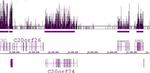 Histone H3K36me3 Antibody in ChIP-Sequencing (ChIP-Seq)