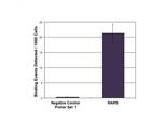 LXR-beta Antibody in ChIP Assay (ChIP)