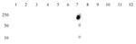 Histone H4K16ac Antibody in Dot Blot (DB)