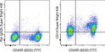 CD1d Antibody in Flow Cytometry (Flow)