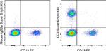 CD3 Antibody in Flow Cytometry (Flow)