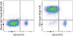 CD3 Antibody in Flow Cytometry (Flow)