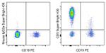 CD5 Antibody in Flow Cytometry (Flow)