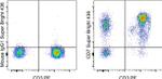 CD7 Antibody in Flow Cytometry (Flow)