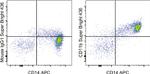 CD11b Antibody in Flow Cytometry (Flow)