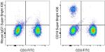 CD19 Antibody in Flow Cytometry (Flow)